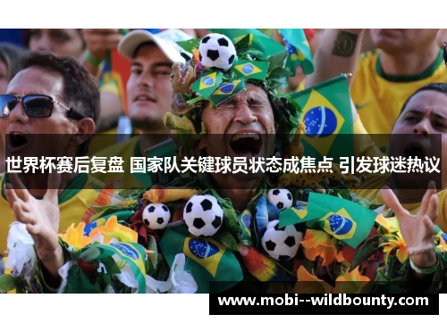 世界杯赛后复盘 国家队关键球员状态成焦点 引发球迷热议