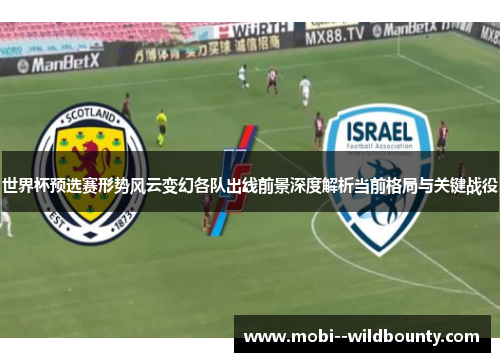 世界杯预选赛形势风云变幻各队出线前景深度解析当前格局与关键战役